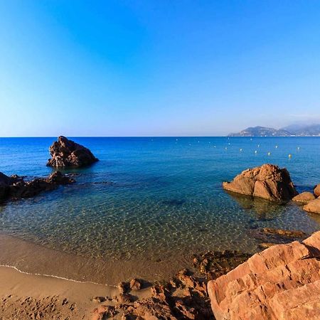 A 10 Min De La Croisette - Pieds Dans La Mer Канны Экстерьер фото